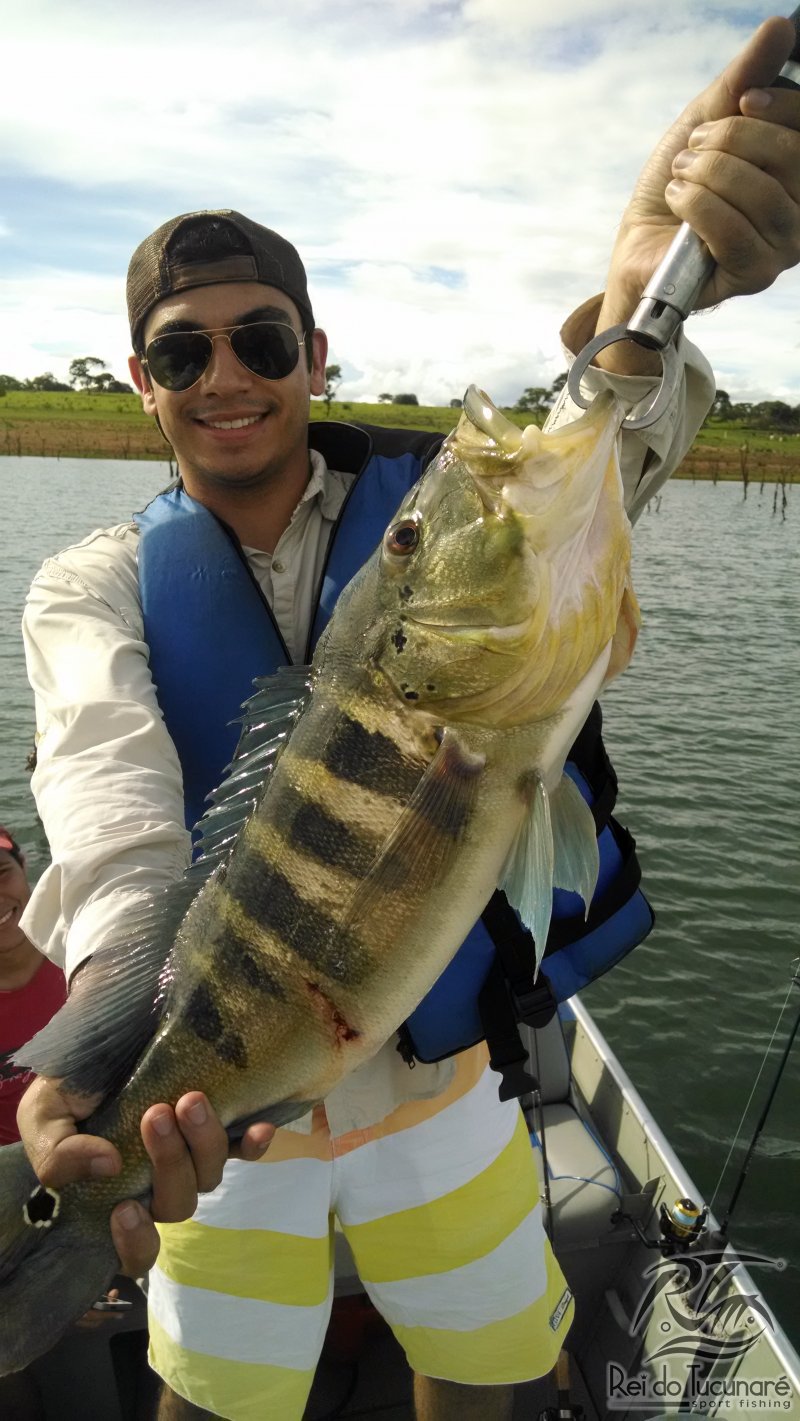 pescaria de tucunare