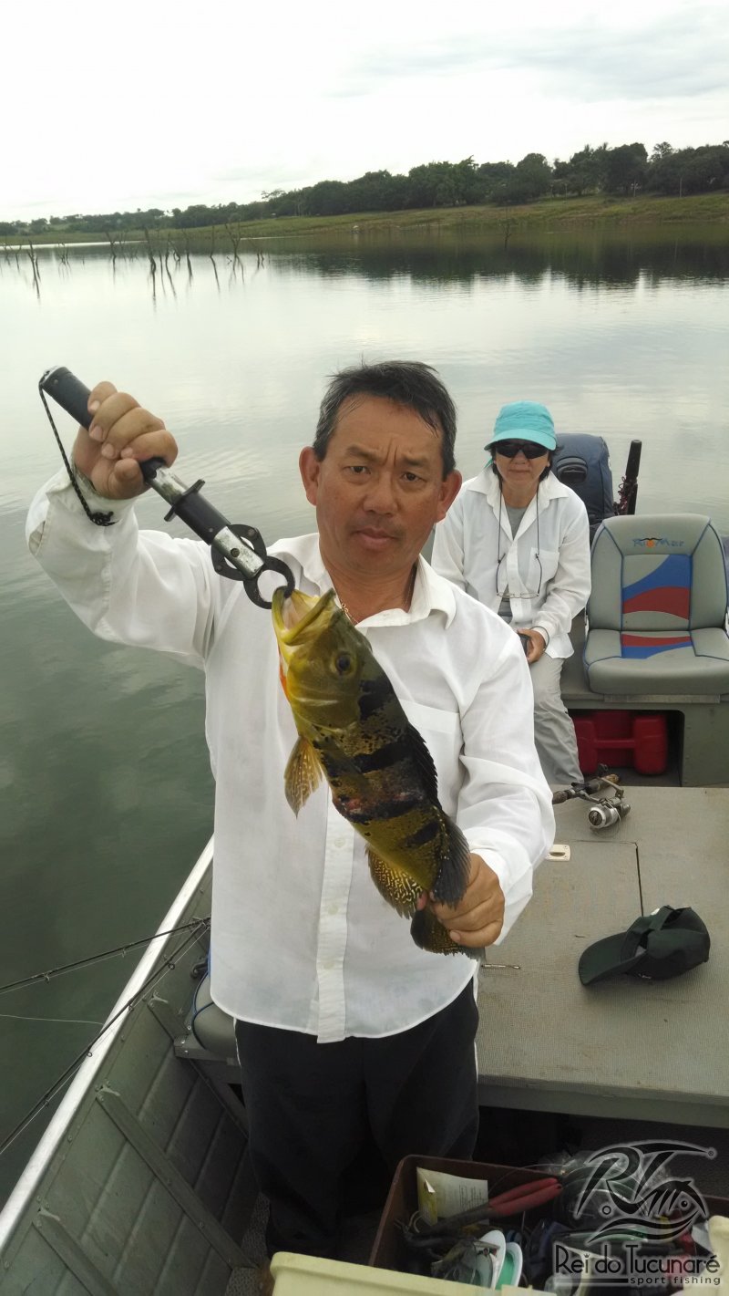 pescaria de tucunare