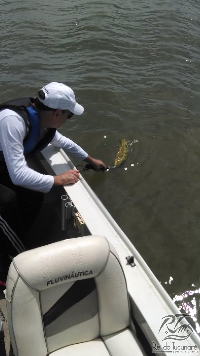 pescaria de tucunare