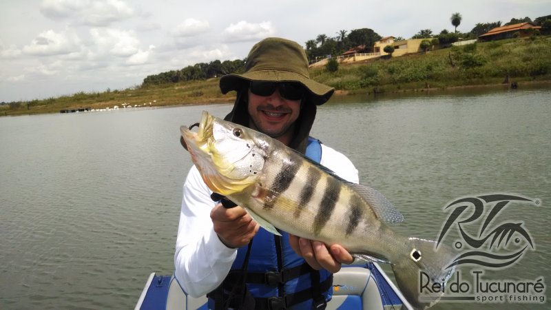 pescaria de tucunare
