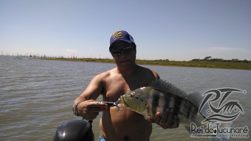 pescaria de tucunare