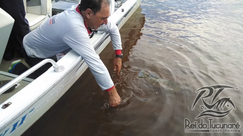 pescaria de tucunare